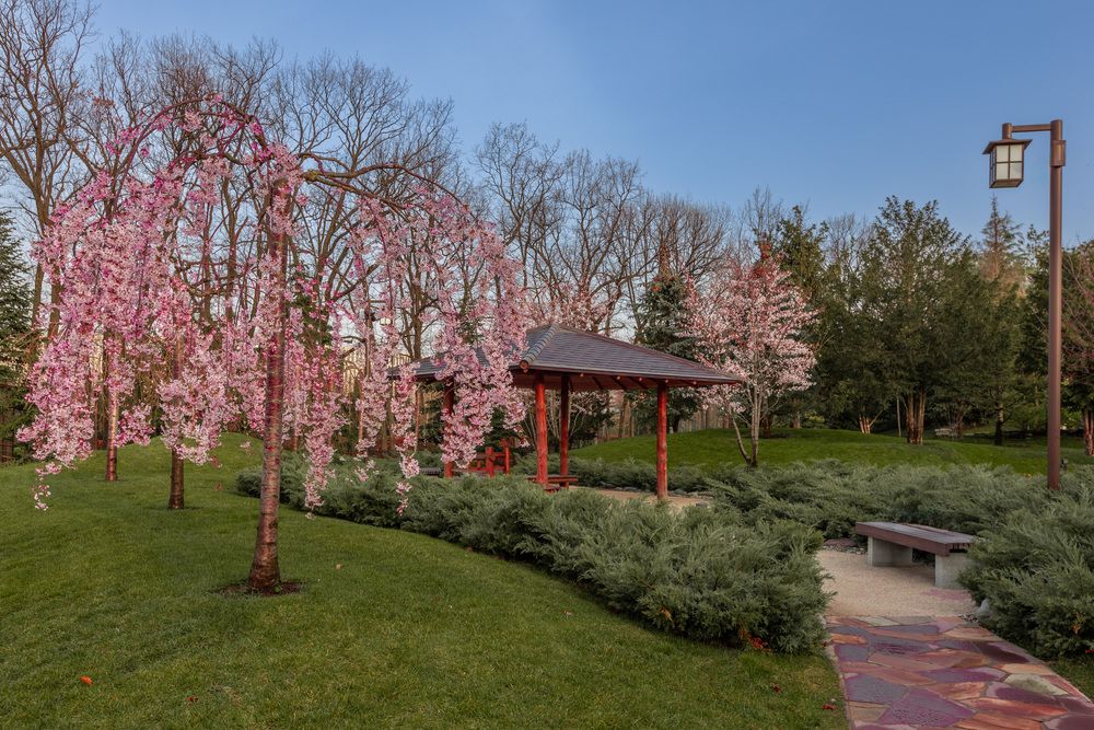 Фотография автора Rom@shkin