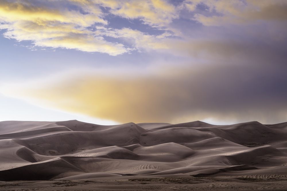 Photograph by Dave Miller