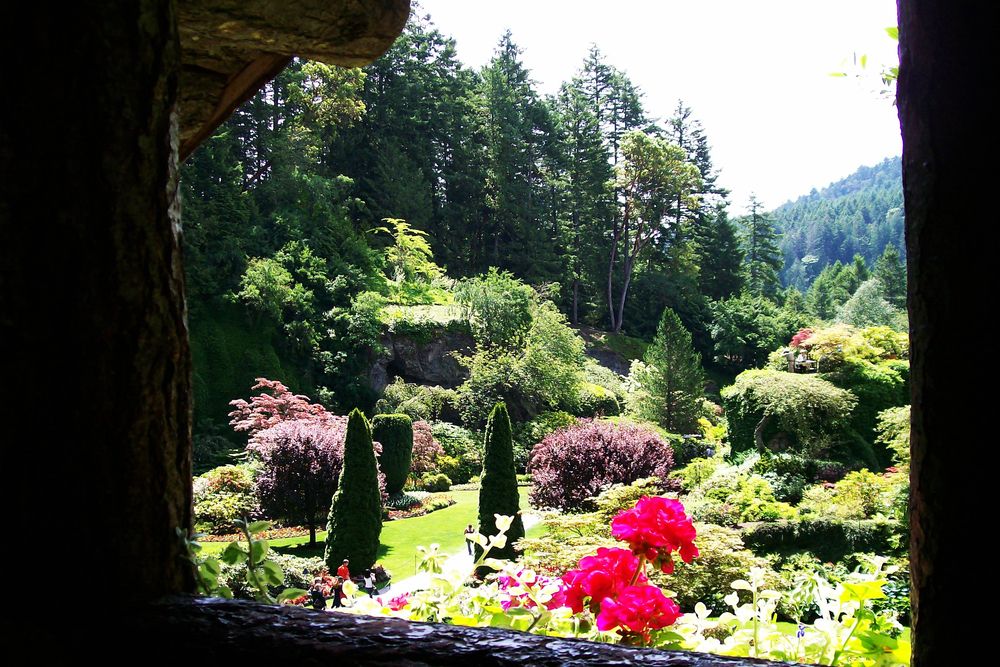 Photograph by Хвостов владимир Владимирович