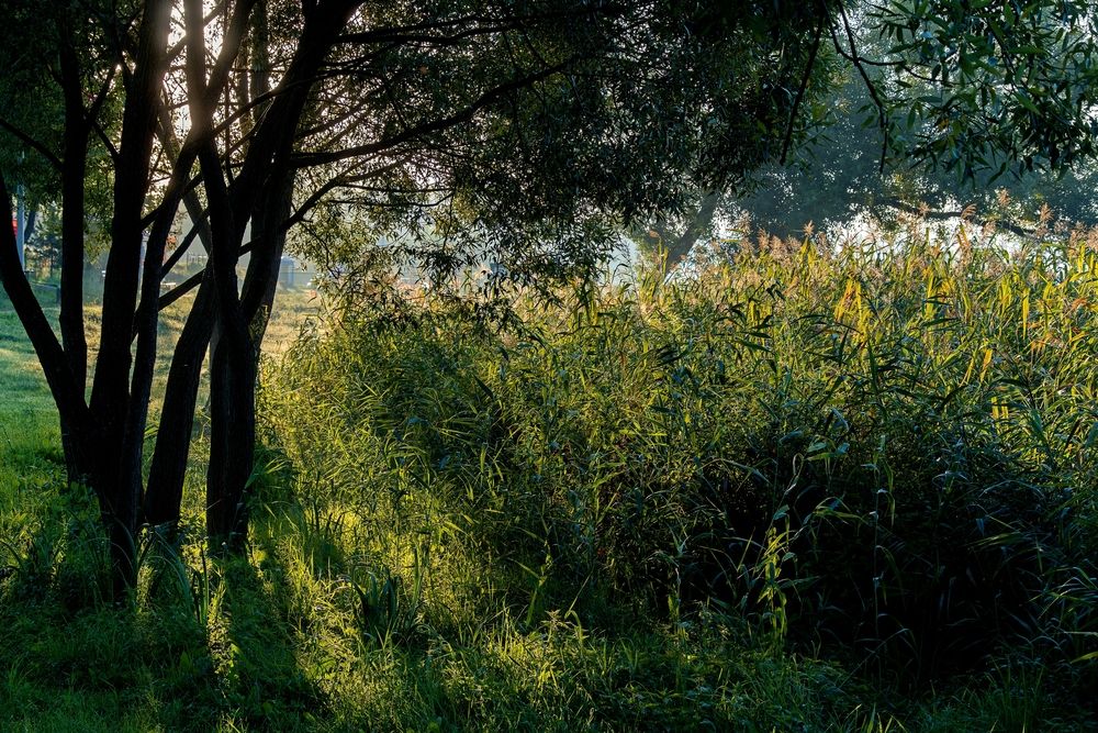 Photograph by Михаил Косолапов