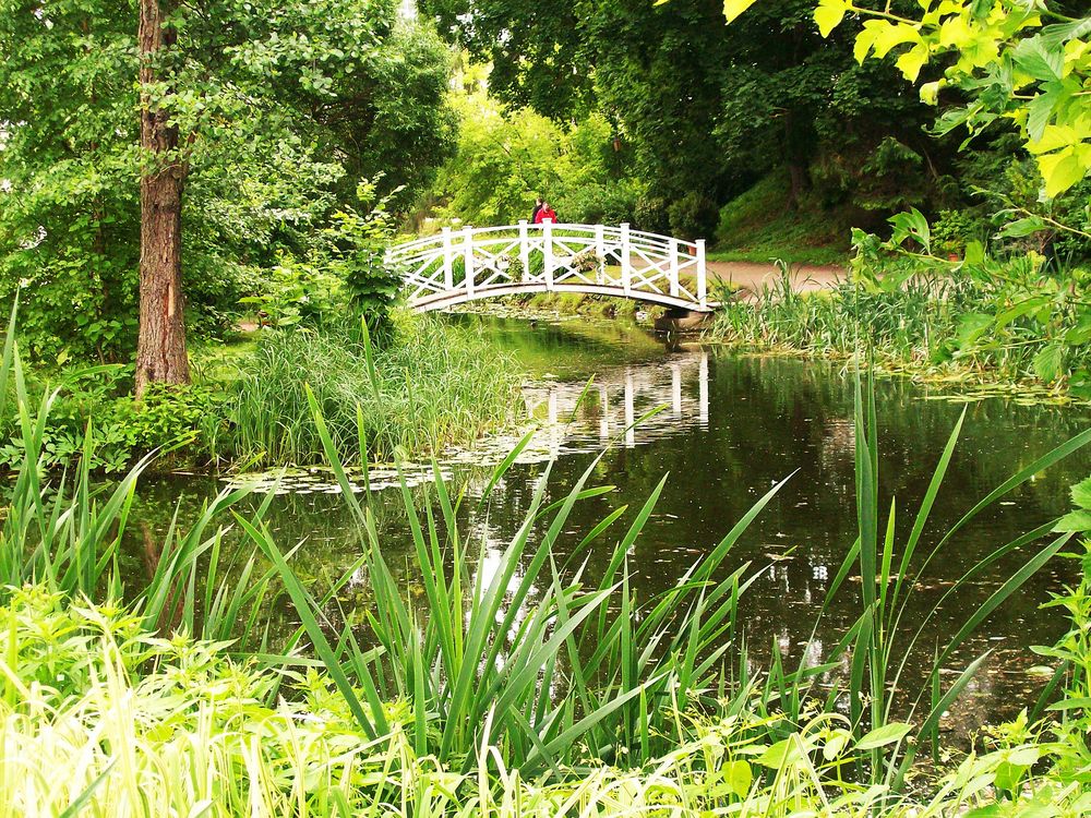 Photograph by Хвостов владимир Владимирович