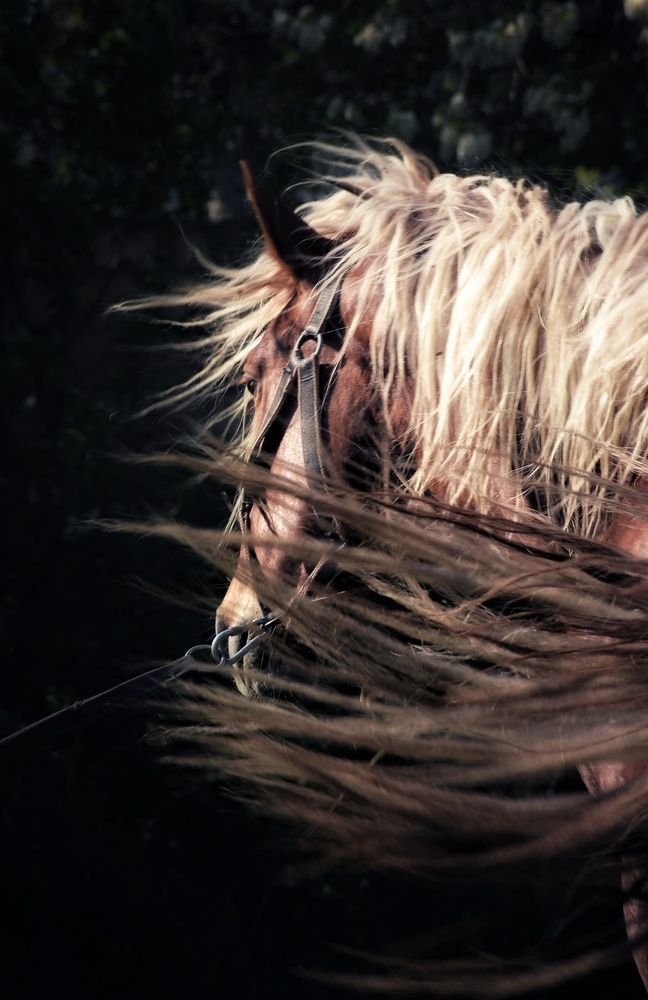 Photograph by Юлия Гайдукевич