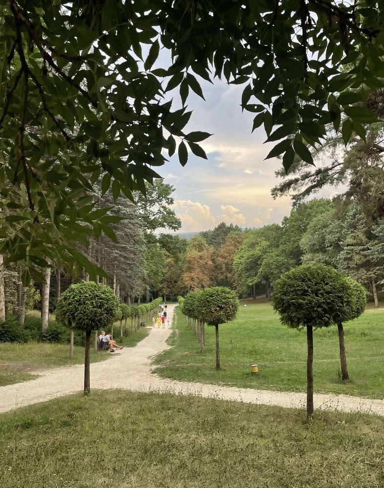 Фотография автора Рамзия Хисамутдинова