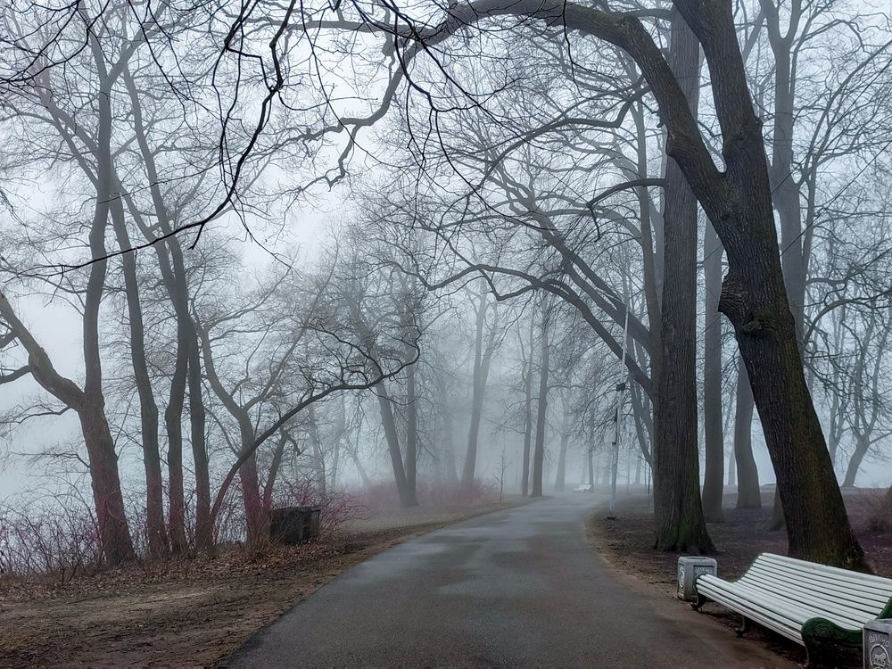 Photograph by Мария Самохвалова