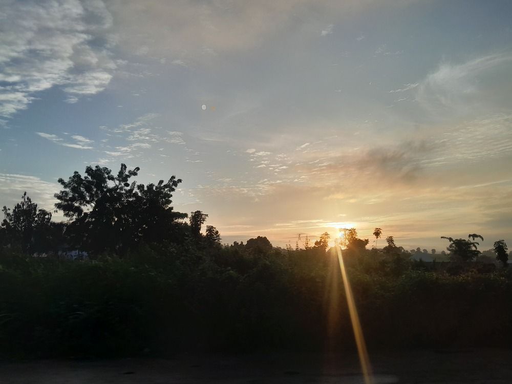 Photo #13075960