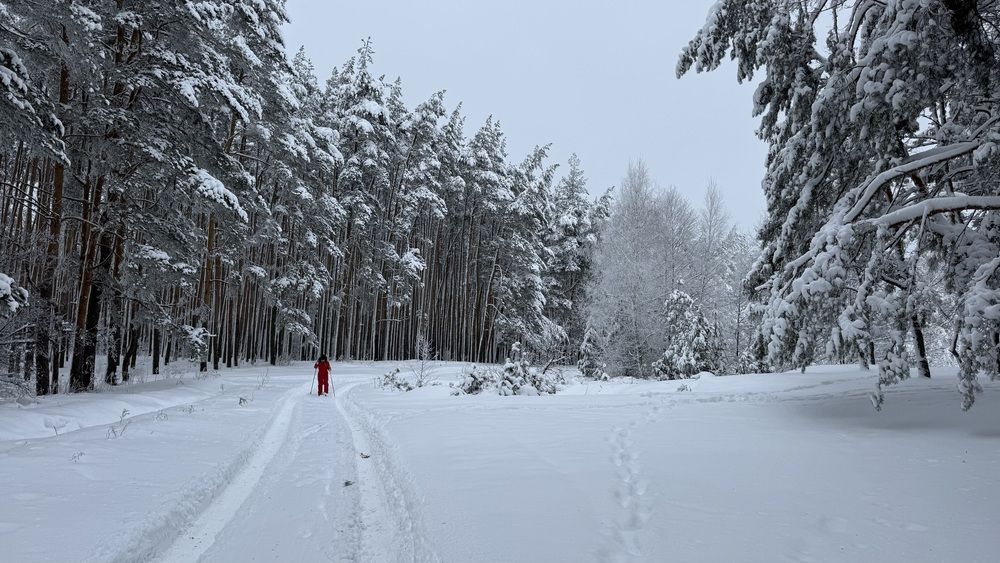 Photograph by Елена Гущина