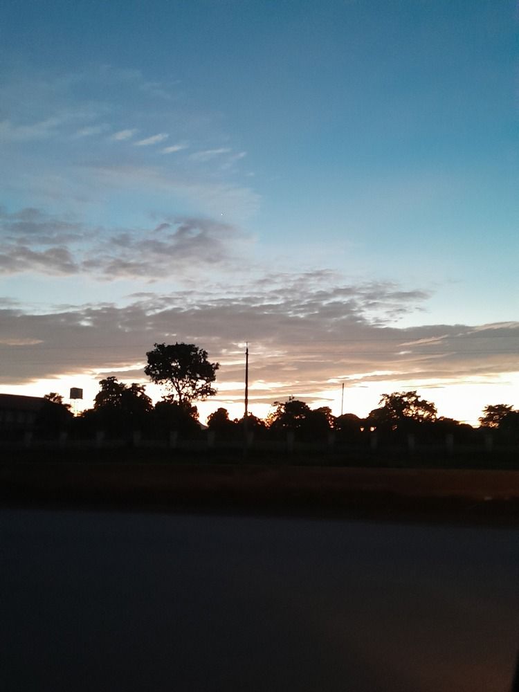 Photo #13075971