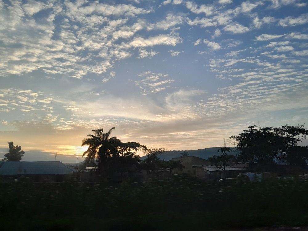 Photo #13075973