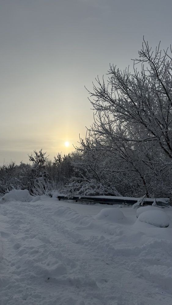 Photograph by Елена Гущина