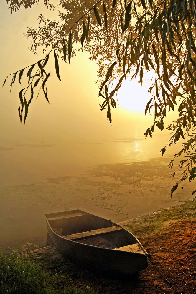 Photograph by Майя Синичкина