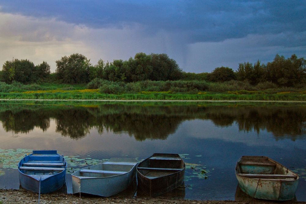 Photograph by Майя Синичкина