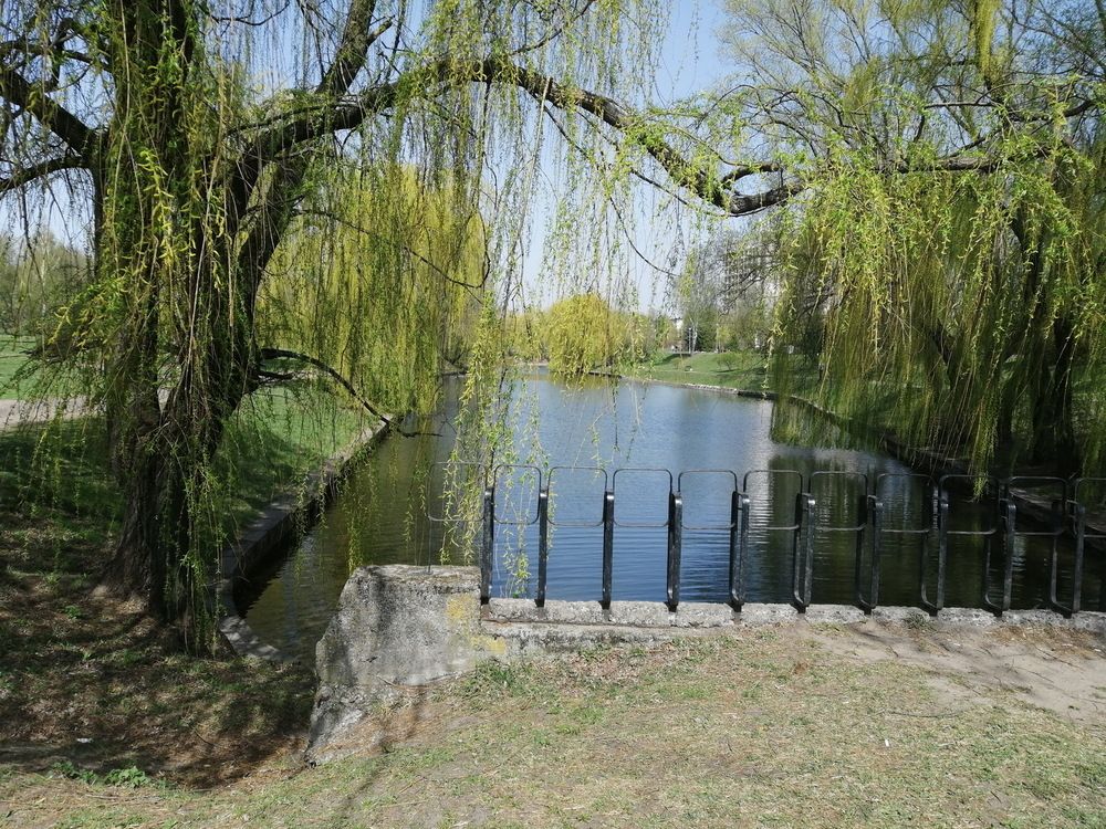 Фотография автора Борис Журавлёв