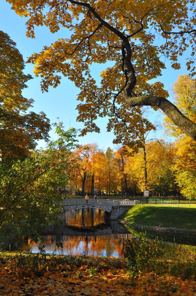 Photograph by Екатерина Молчанова