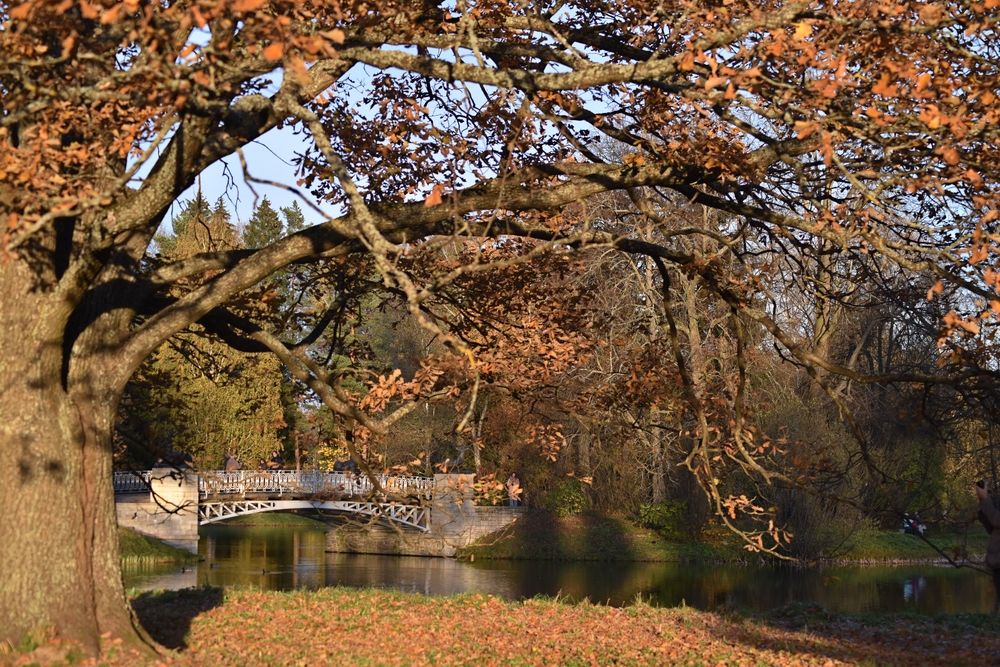 Photograph by Екатерина Молчанова