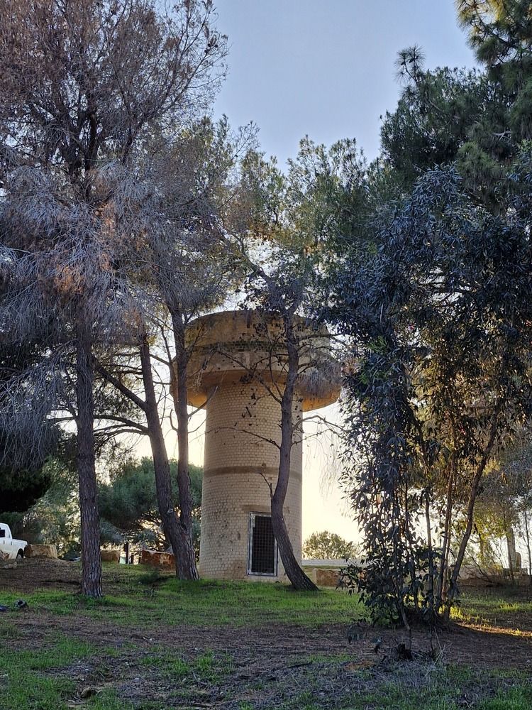 Фотография автора Tetiana Danylenko