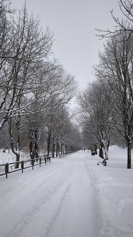 Photograph by Eugenia Blinova