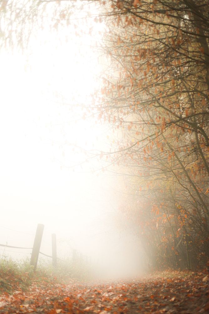 gate to the unknown