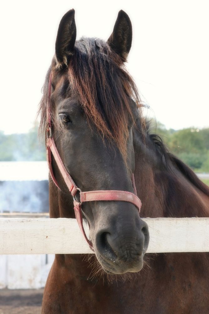 Photograph by Владимир Перминов