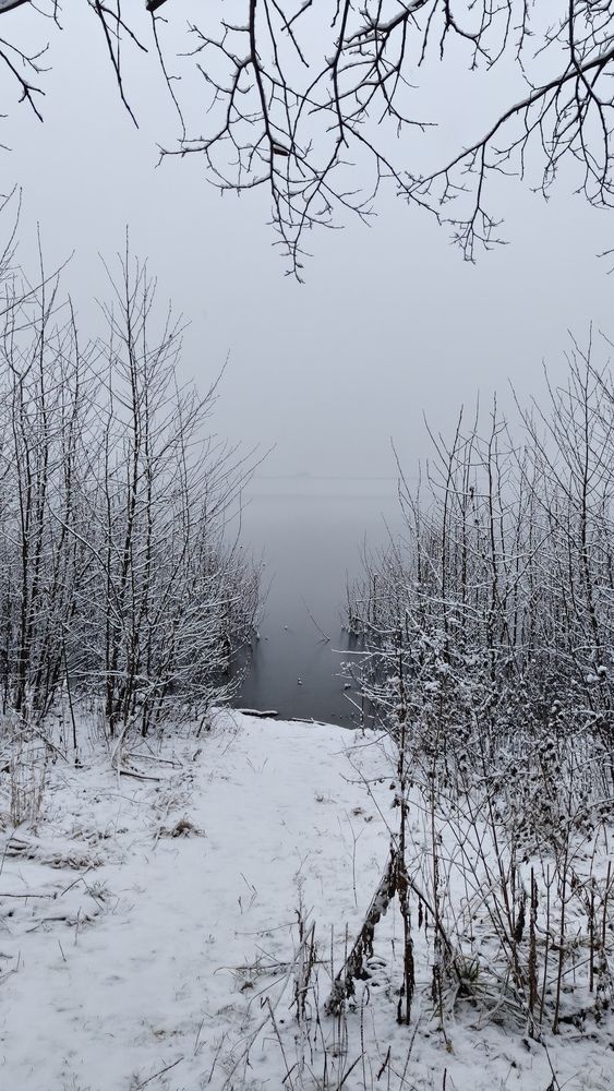 Photograph by Светлана Кудянова