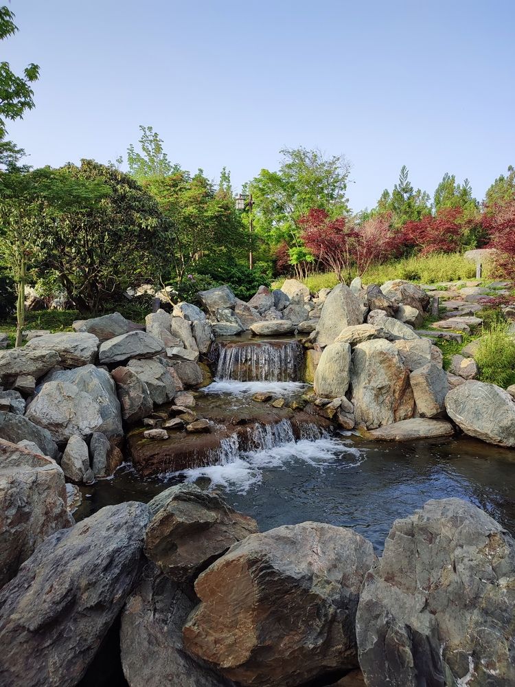 Фотография автора Татьяна Петренко