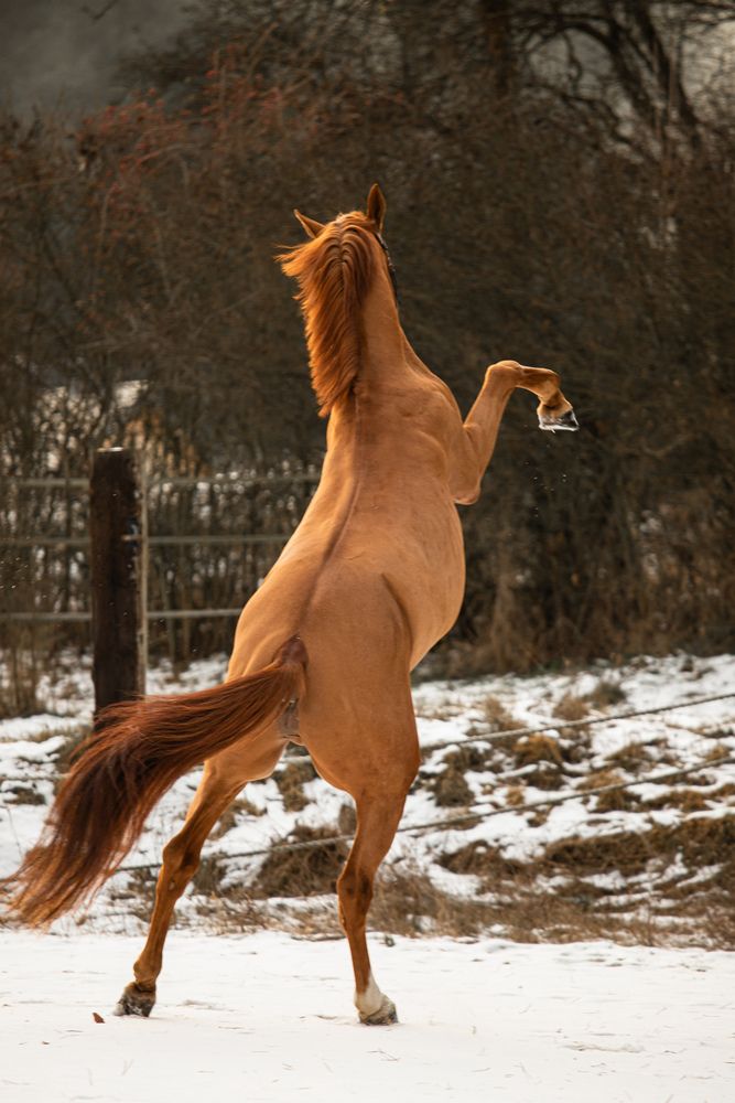 Photograph by Анастасія Пугач