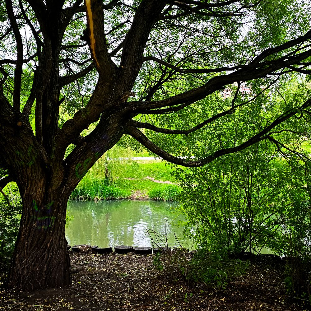Фотография автора Нина Зинченко