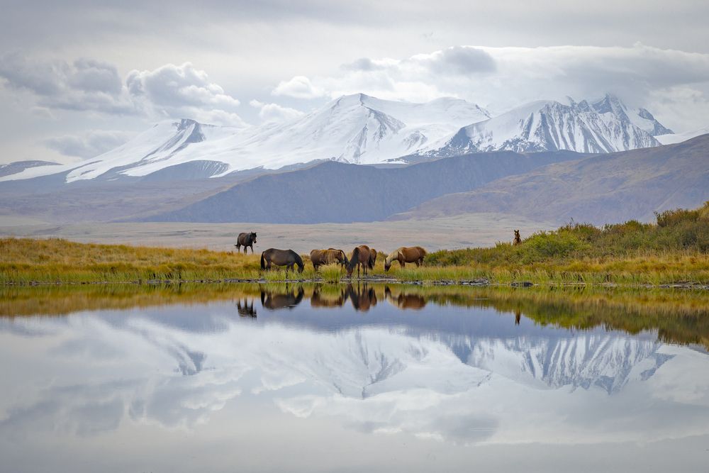 Photograph by Екатерина Лурина