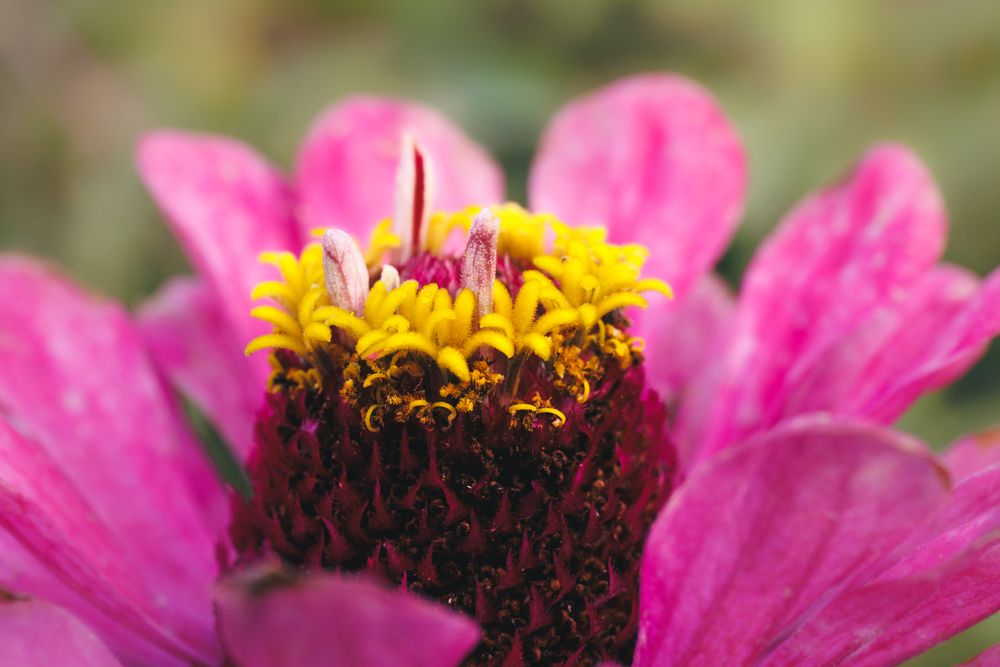 Фотография автора Tigran Simonyan