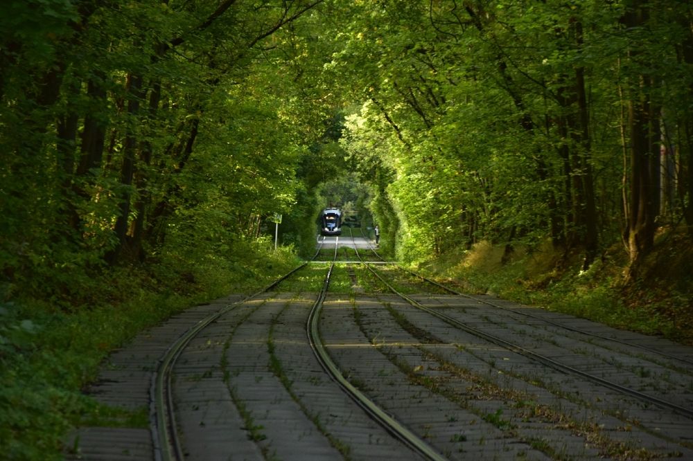 Фотография автора Maria Yakovleva