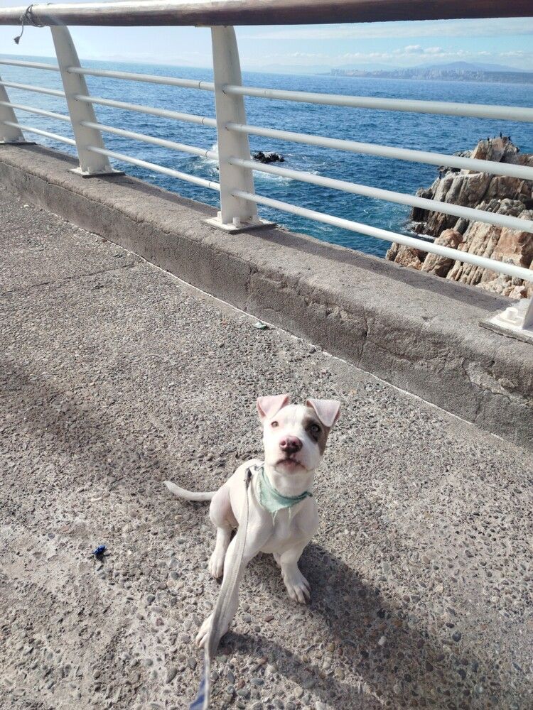 Photo #13076251
