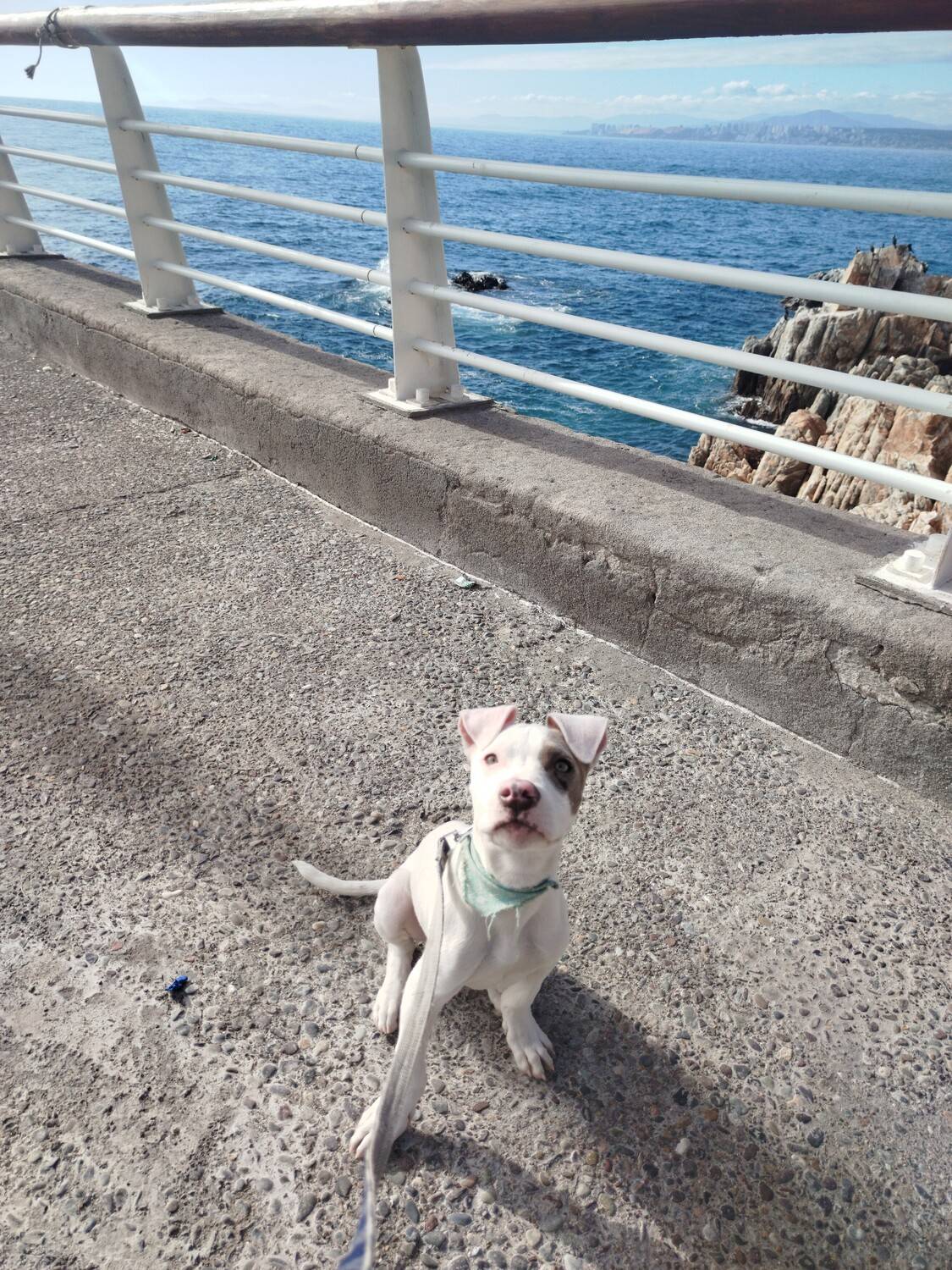 Photo #13076251