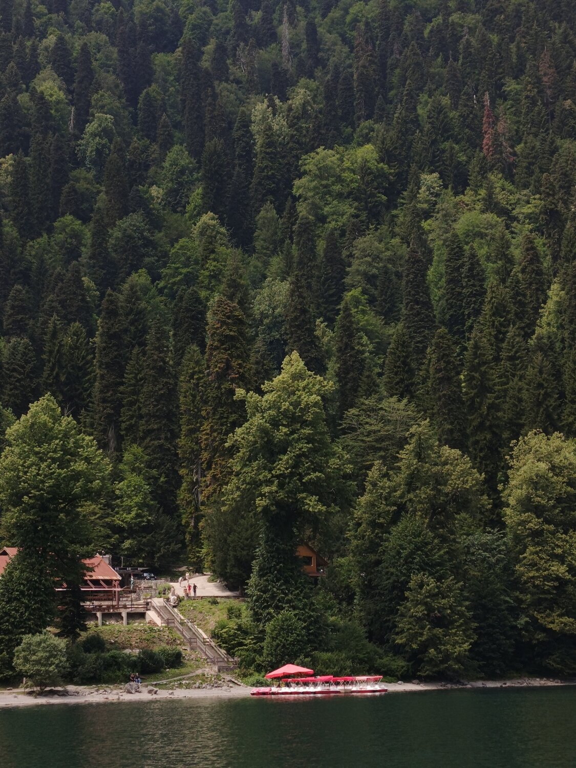 Photo #13076256