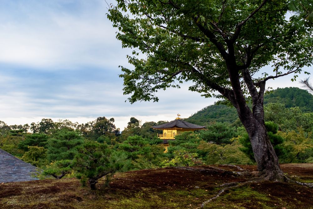 Photograph by Alona Povolotsky