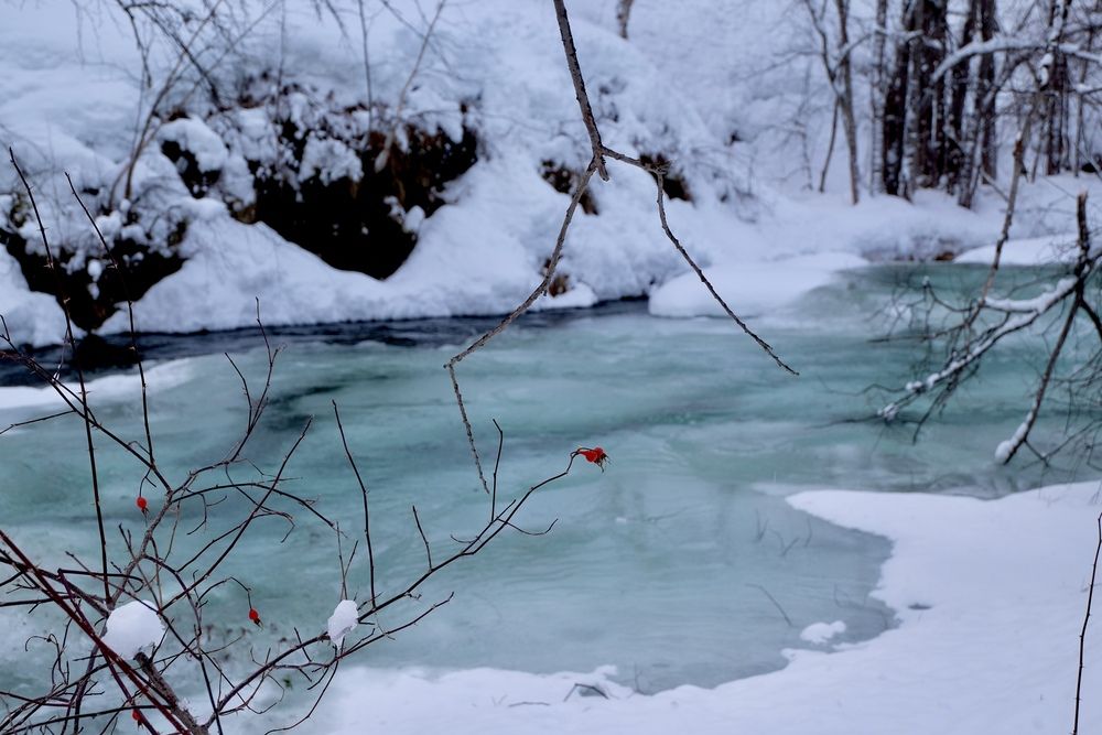 Фотография автора Яна Бойко