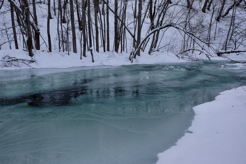 Фотография автора Яна Бойко