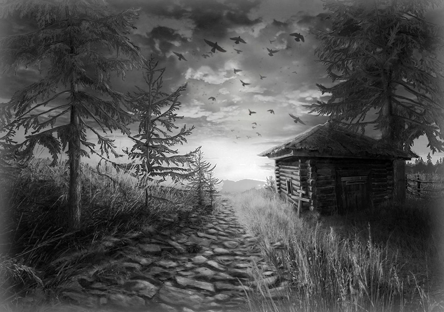 Фотография #13076302