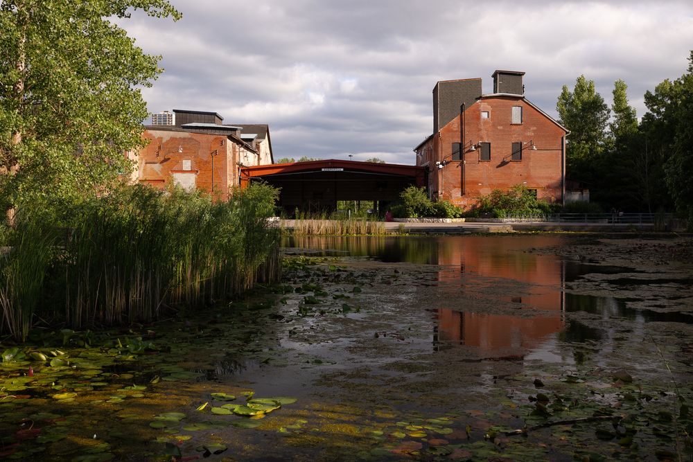 Photograph by Карина Онисенко