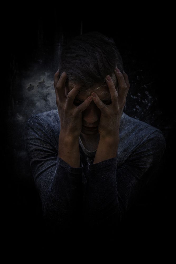 Photo #13076308