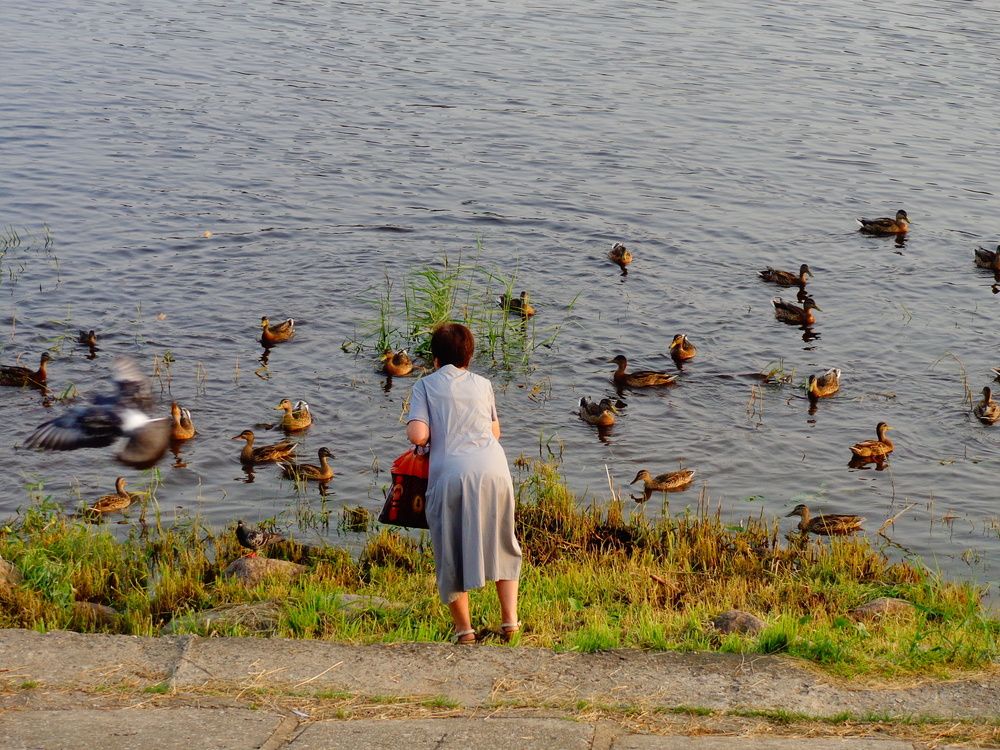 Photo #13076316