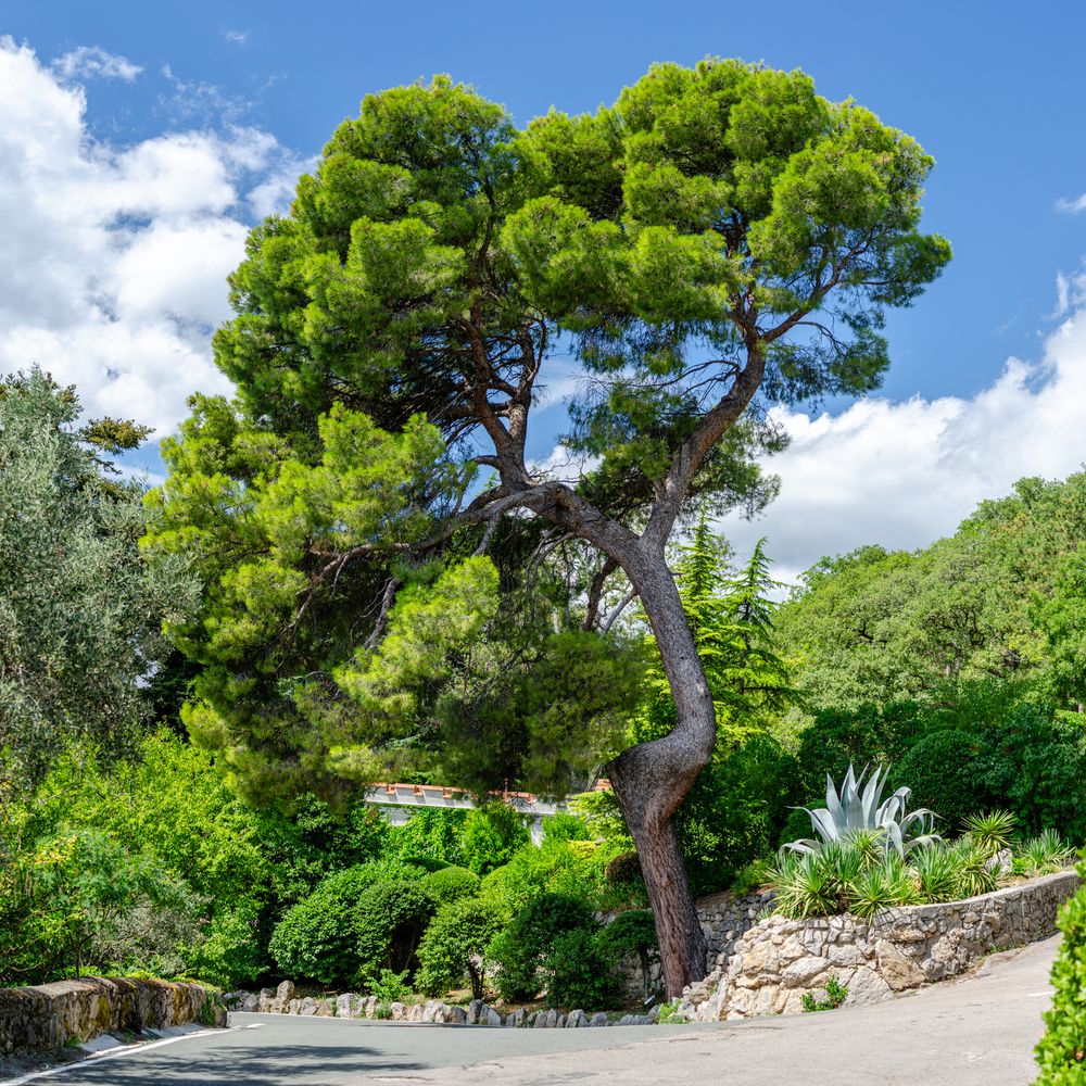 Photograph by Алексей Цыганов