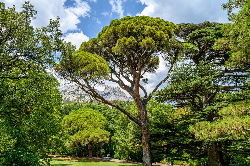 Photograph by Алексей Цыганов