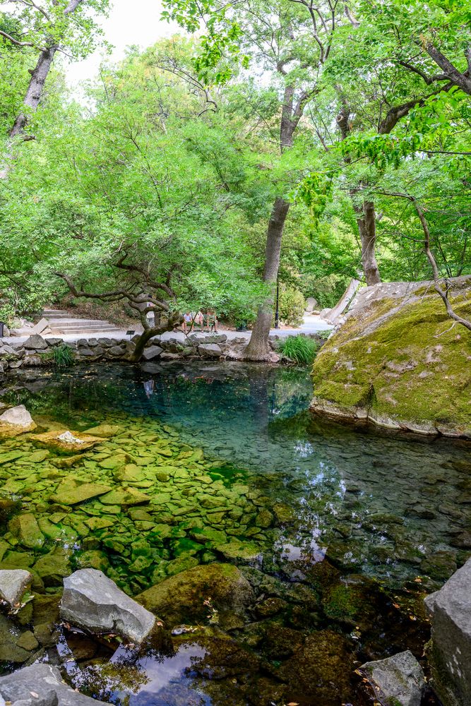 Photograph by Алексей Цыганов