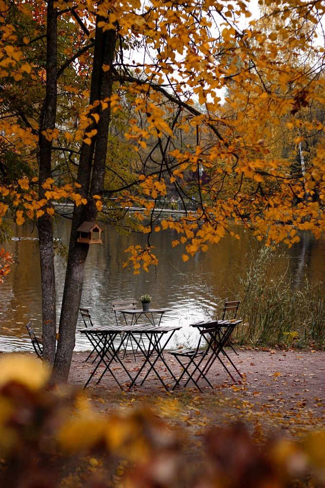 Photograph by Diana Androsova
