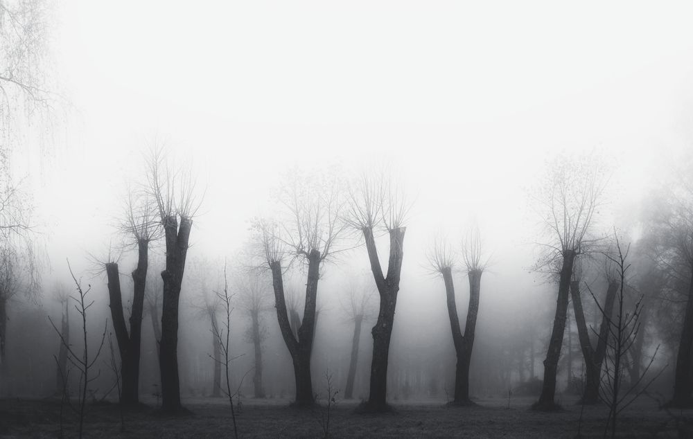 Photograph by Евгений Белов