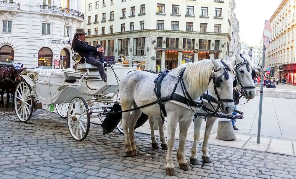 Photograph by Сергей Шишмарин