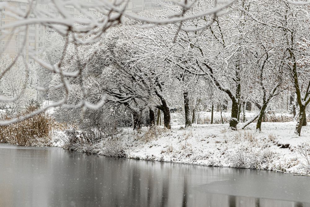Photograph by Юлия Куликова