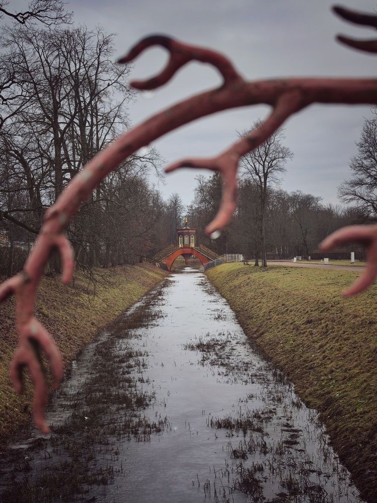 Фотография автора Мария Филиппова