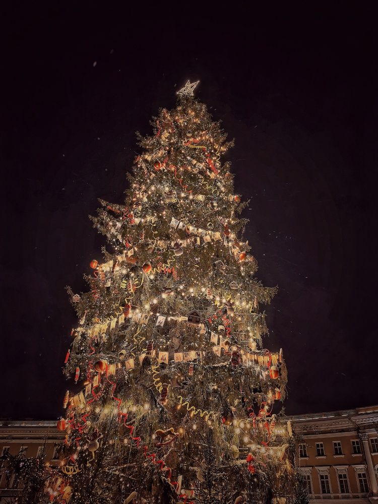 Фотография автора Мария Филиппова