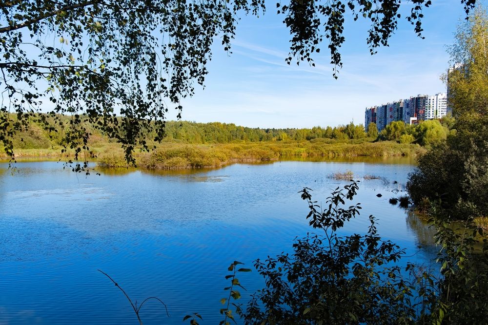 Photograph by Василиса Косолапова