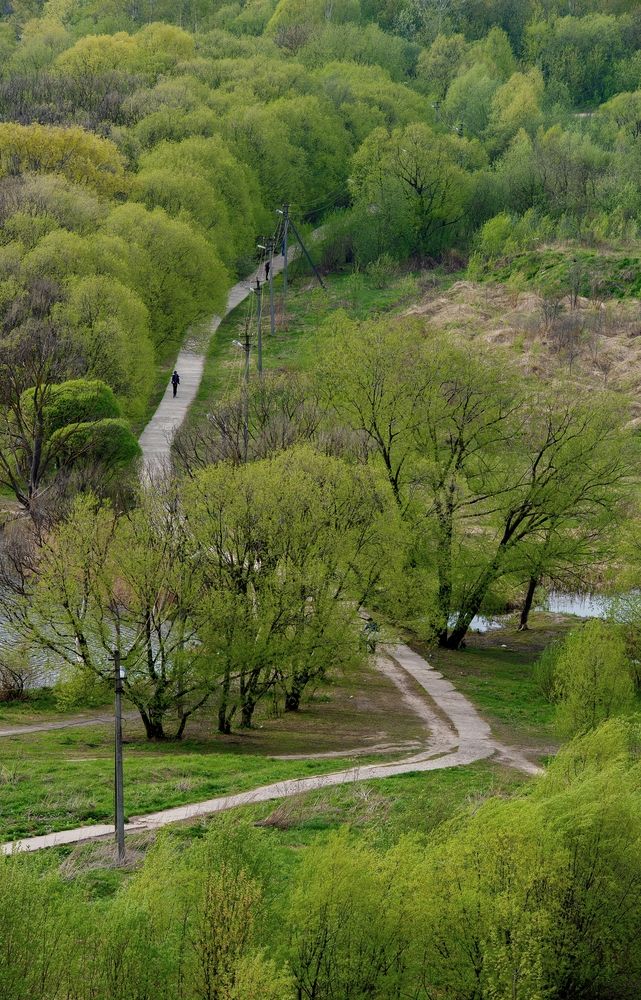 Photograph by Михаил Косолапов